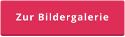 Zur Bildergalerie