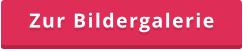 Zur Bildergalerie